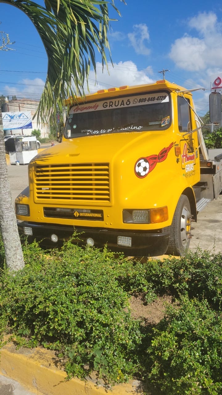 camiones y vehiculos pesados - Grúa De plataforma  2