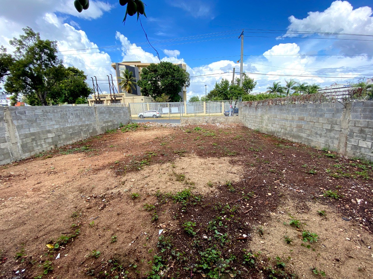 solares y terrenos - SOLAR EN VENTA EN ZONA UNIVERSITARIA 4