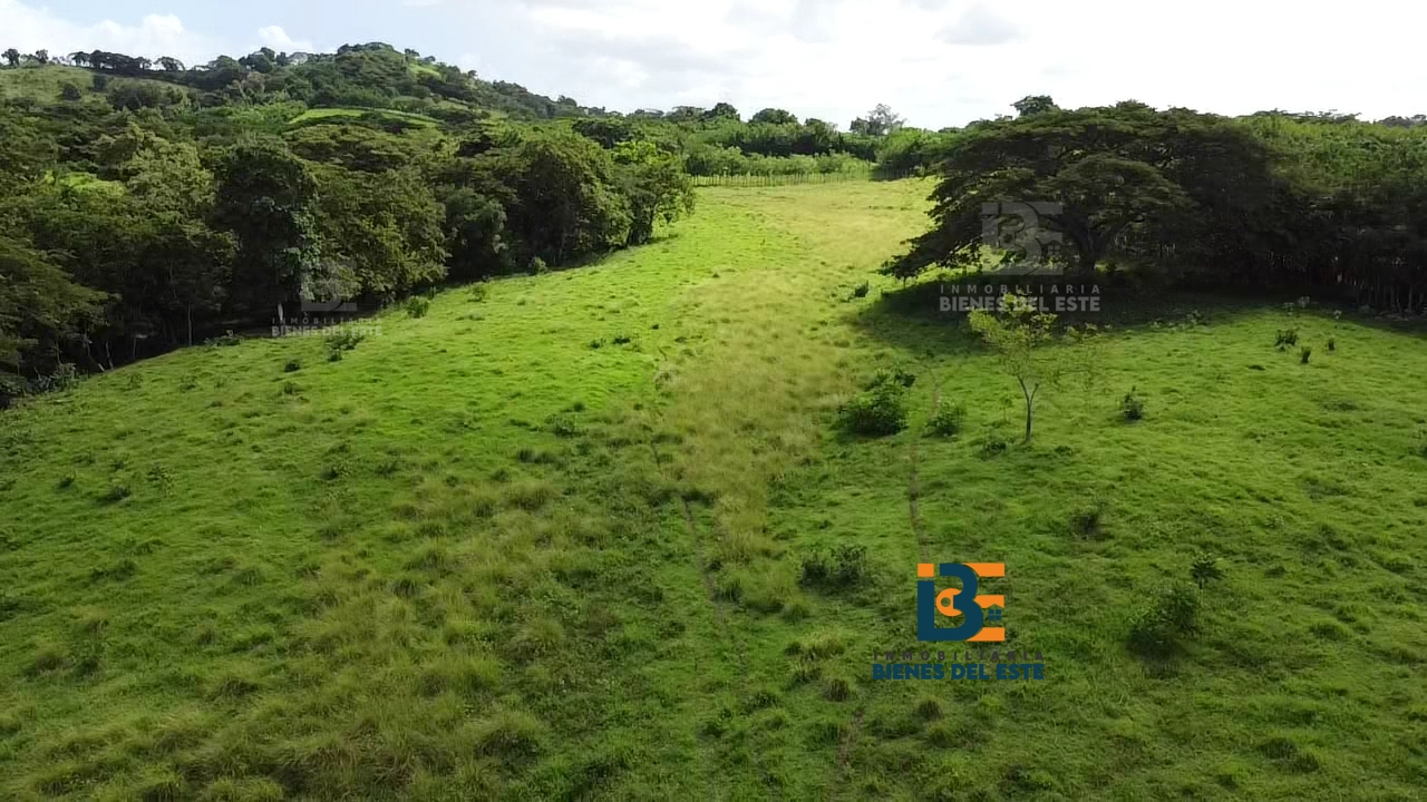 solares y terrenos - Finca con 20 Tareas en Ramon Santana 1