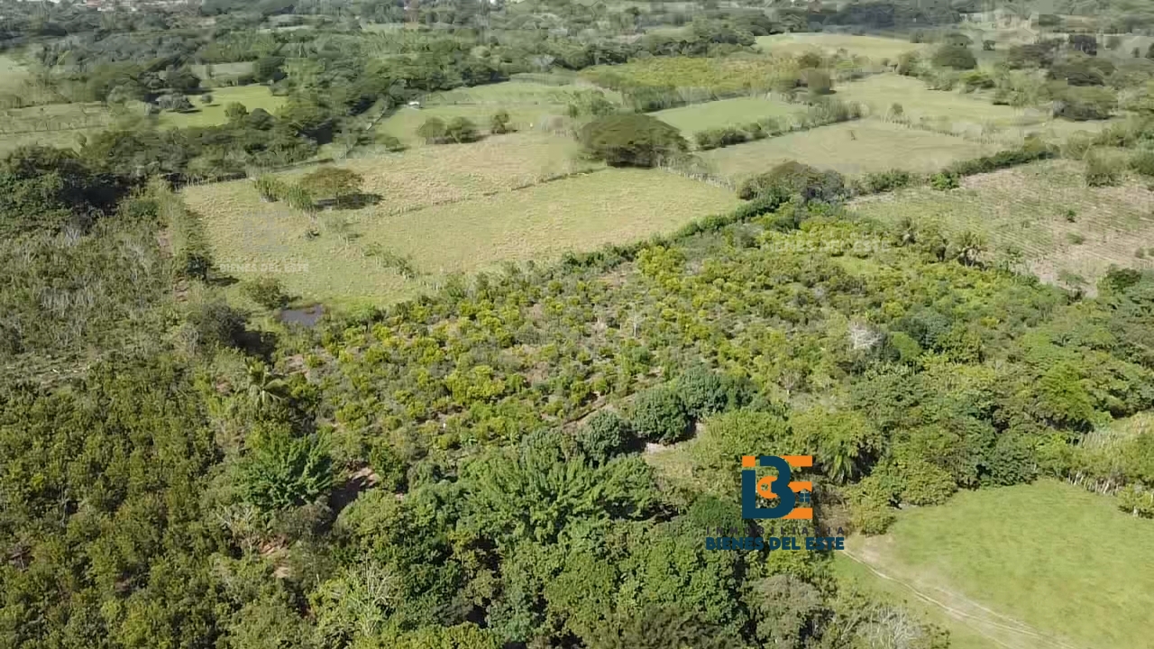 solares y terrenos - Finca con 20 Tareas en Ramon Santana 2