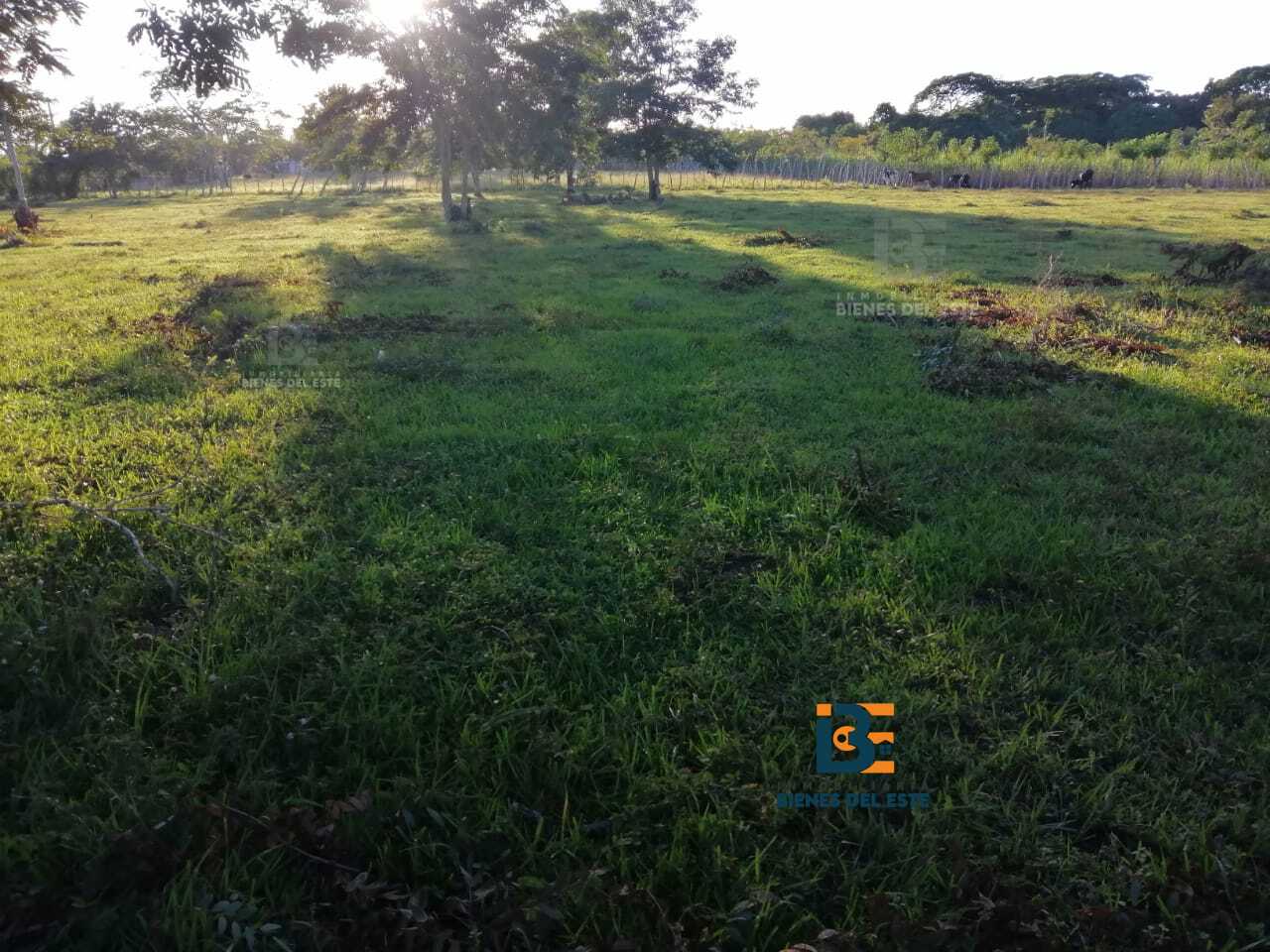 solares y terrenos - Finca con 20 Tareas en Ramon Santana 3