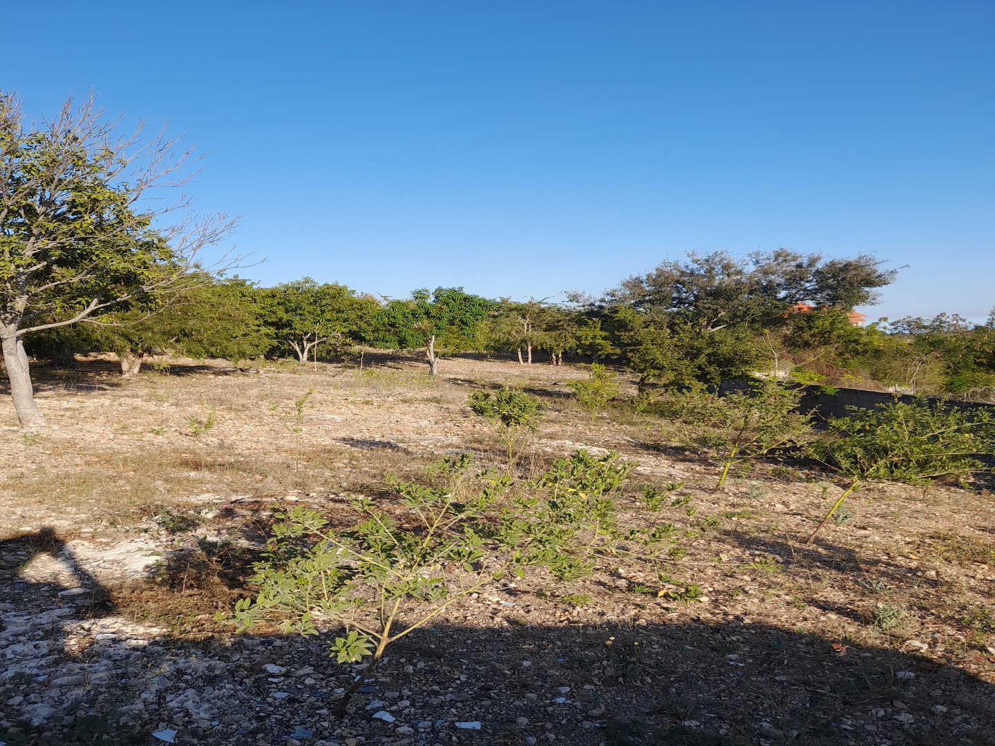 solares y terrenos - Se Vende Terreno con su Certificado de Título. 2