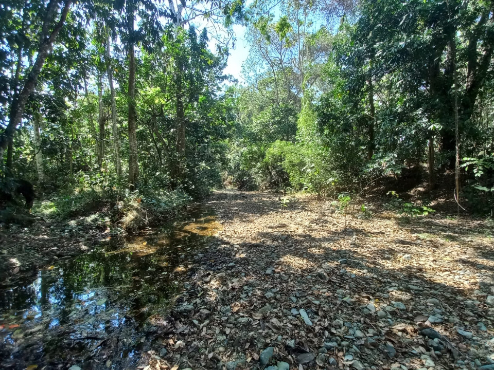 solares y terrenos - Terreno en Venta en Arroyo Mosquito