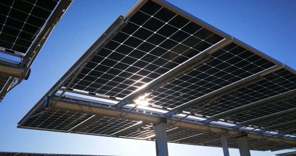 plantas e inversores - PANEL SOLAR BIFACIAL DE 700W EN OFERTA