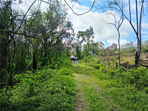 solares y terrenos - Finca o Terreno en Pedro Brand, Aut. Duarte, Santo Domingo 0