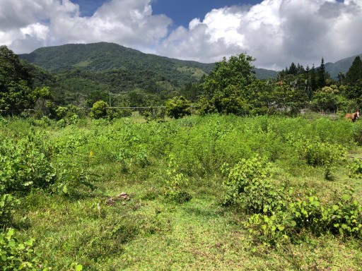 solares y terrenos - Terreno en venta en los Mogotes, villa altagracia. 6