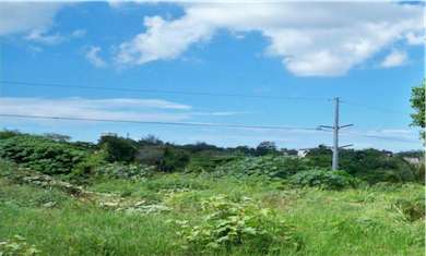 solares y terrenos - Vendo terreno a una esquina de la Jacobo 
36,500. Mts. 
Precio por Mts. Us$ 65 2