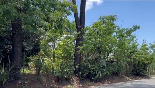 solares y terrenos - Terreno en Jarabacoa