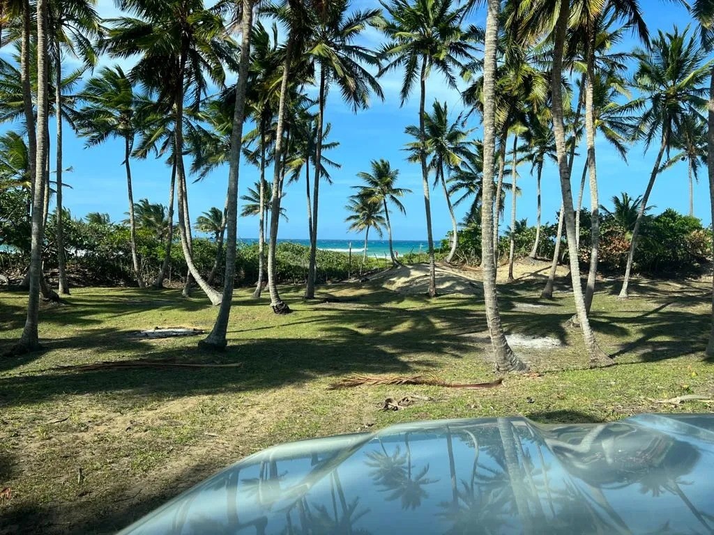 solares y terrenos - Oportunidad Única: Terreno en Primera Línea de Playa Gaspar Hernández 5