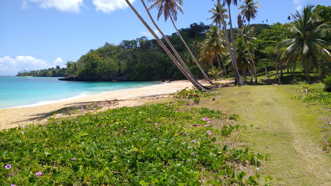 solares y terrenos - Solare in vendita a Playa Colorado, Samana 2