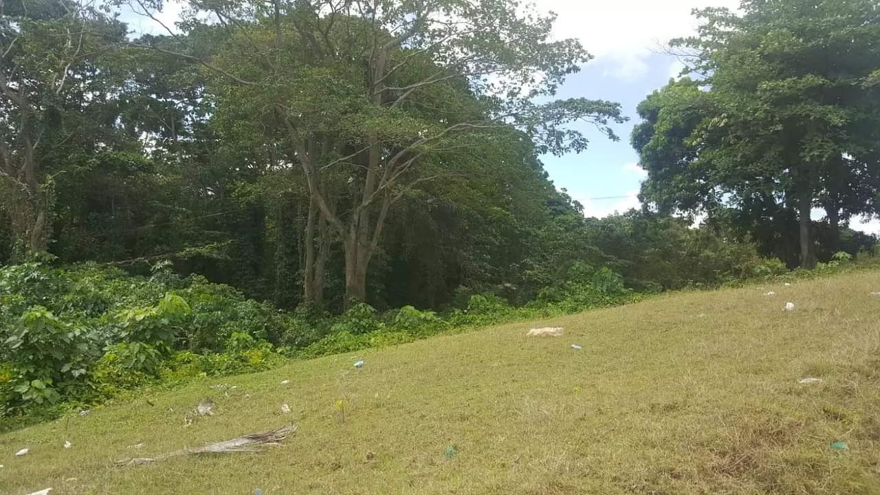 solares y terrenos - Sin Intermediarios Venta de Terreno en San Felipe Villa Mella