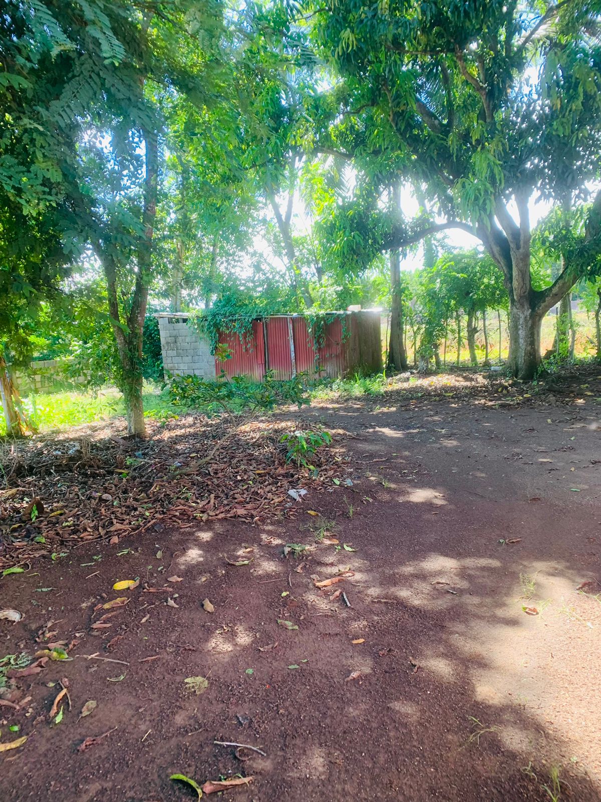 solares y terrenos - Finca cerca de la circunvalación Santo Domingo  5