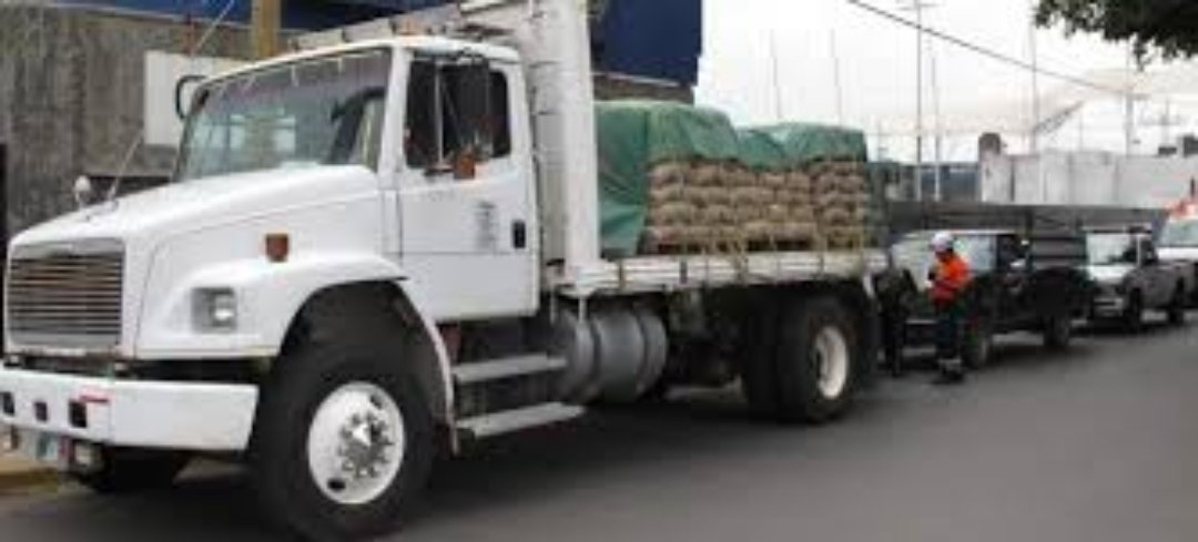 camiones y vehiculos pesados - PATANAS MALECON 4