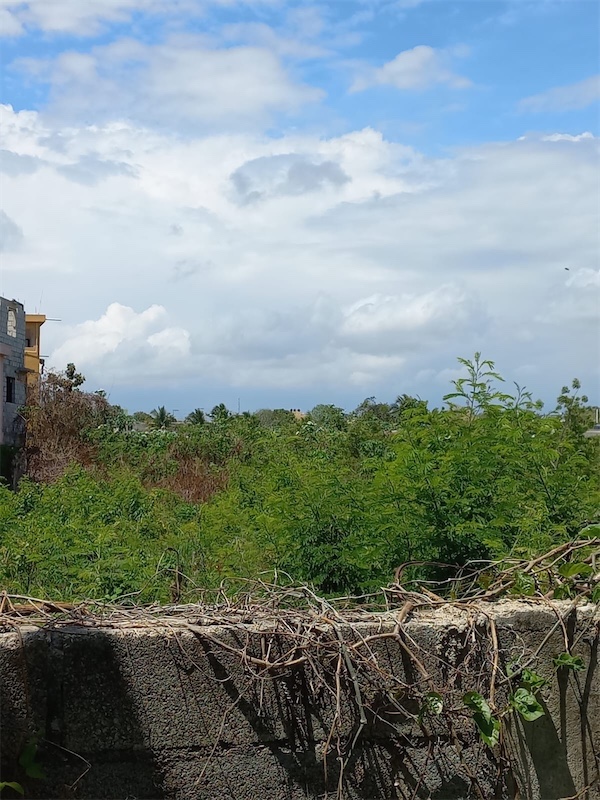 solares y terrenos - Venta de terreno de 48,766 en la marginal de las Américas a 3000 pesos por metro 4