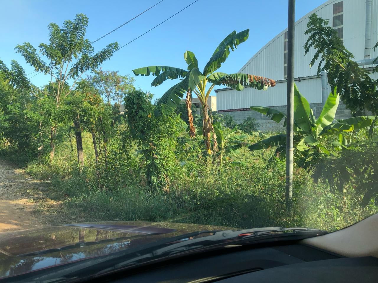 solares y terrenos - Terreno en venta en el sector Urbanización Los Jardines,  Boca chica, Santo Domi 3