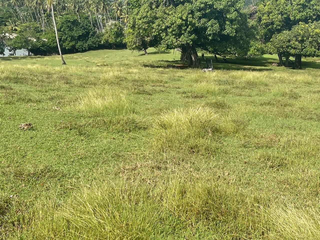 solares y terrenos - se vende terreno de 28,000mts con playa en samana República Dominicana  3