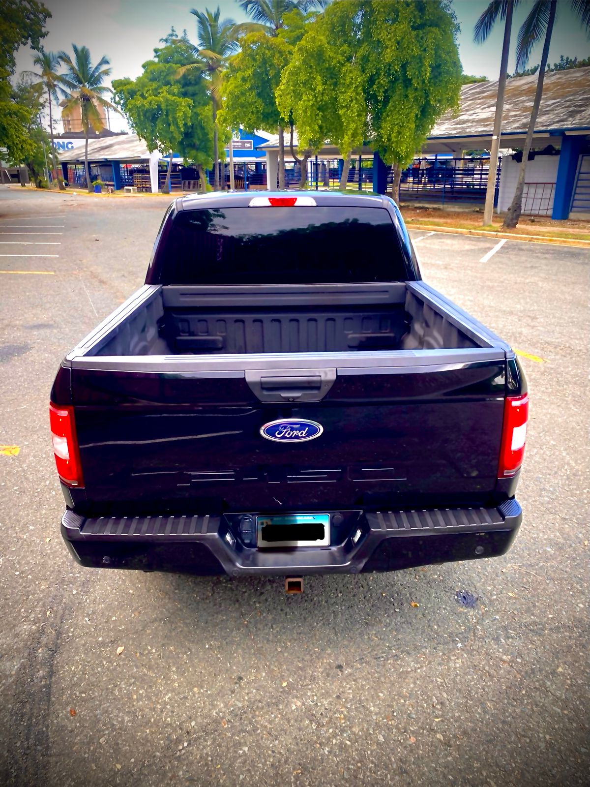 jeepetas y camionetas - FORD F150 4x4 2018  2