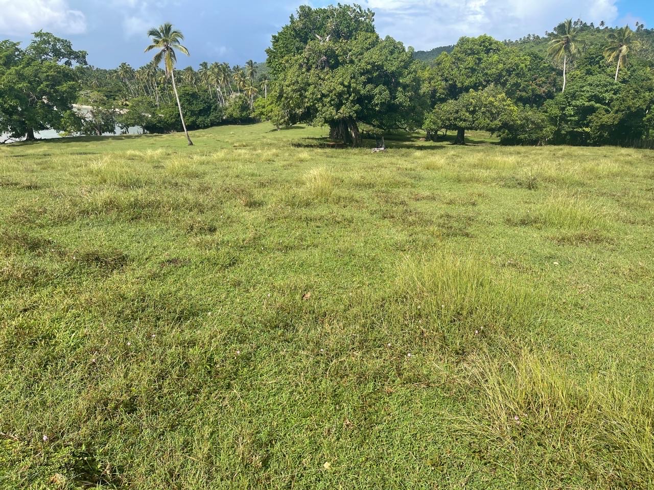 solares y terrenos - se vende terreno de 28,000mts con playa en samana República Dominicana  4