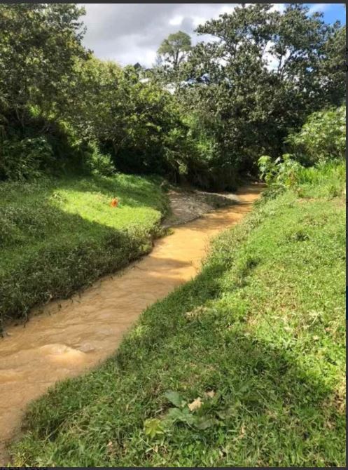 solares y terrenos - Finca en Constanza de 796 tareas con titulo y deslinde  1