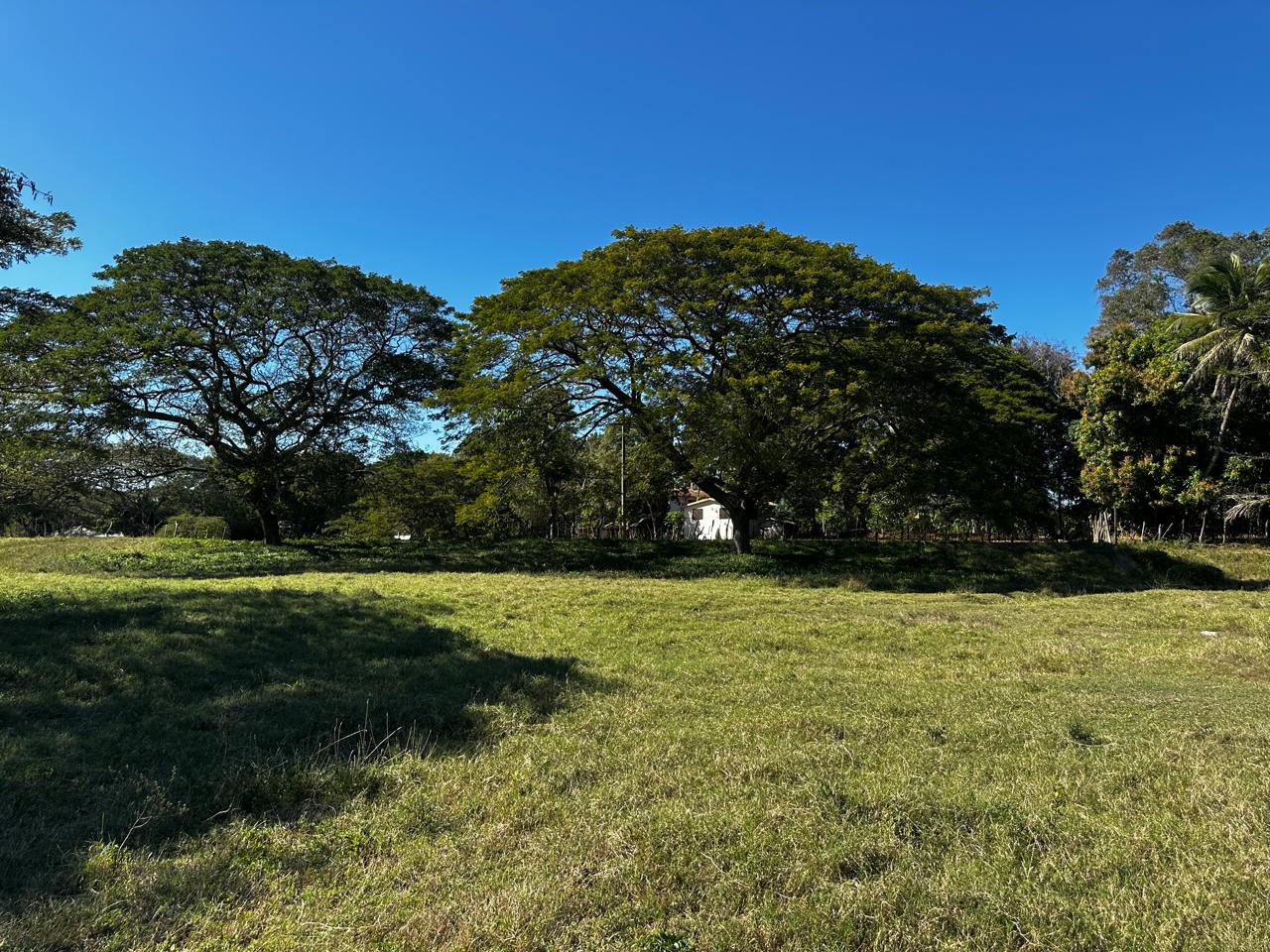 solares y terrenos - Finca en venta de 225 tareas en Santiago 8