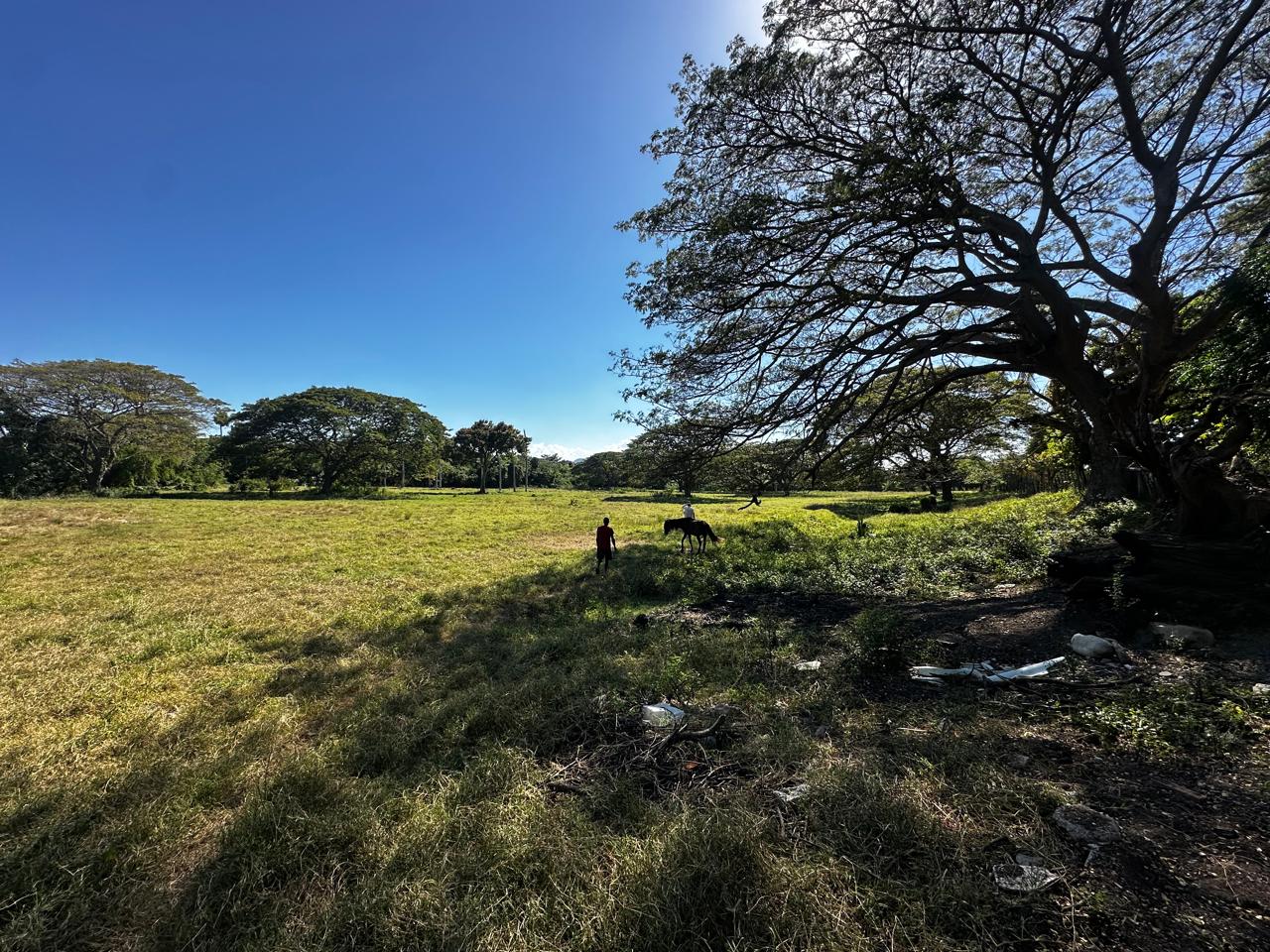 solares y terrenos - Finca en venta de 225 tareas en Santiago 5