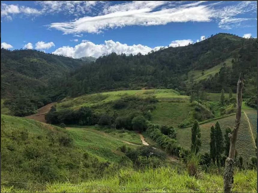 solares y terrenos - Finca en Constanza de 796 tareas con titulo y deslinde  2