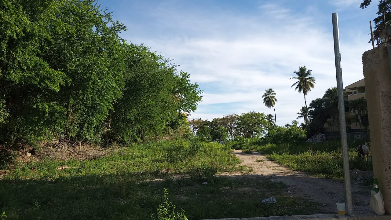 solares y terrenos - Solar en Playa Juan Dolio con 9mil metros Remato 2