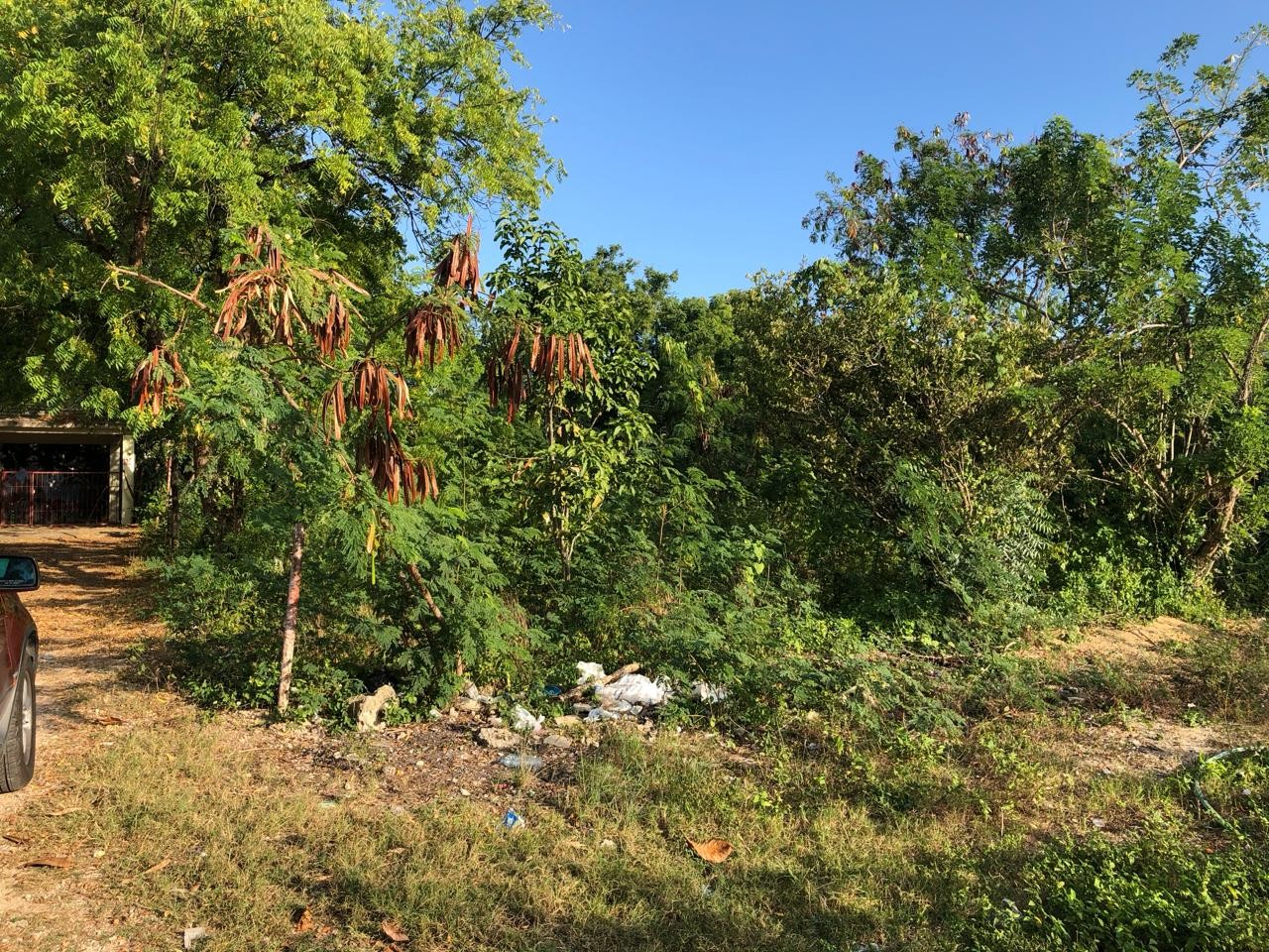 solares y terrenos - Terreno en venta en el sector Urbanización Los Jardines,  Boca chica, Santo Domi 9