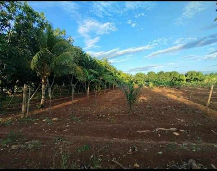 solares y terrenos - Espetacular terreno de (500 mts )A La VENTA Ideal para tu casita de campo 