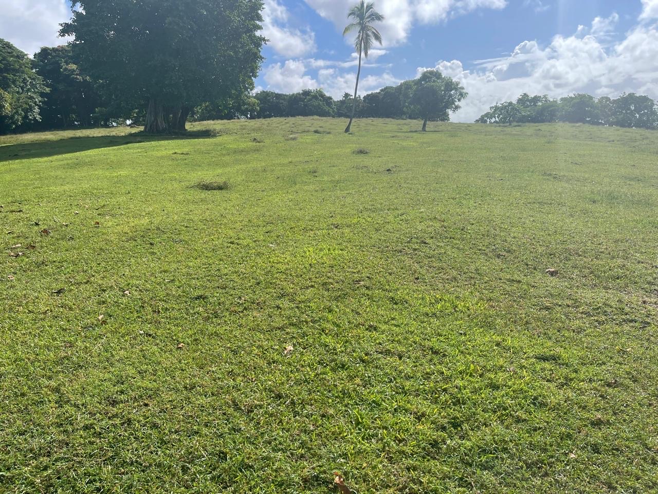 solares y terrenos - se vende terreno de 28,000mts con playa en samana República Dominicana  9