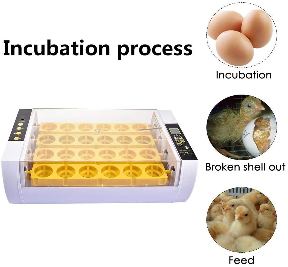 animales y mascotas - Incubadoras de 24 huevos automatico Pollo Aves de corral 5