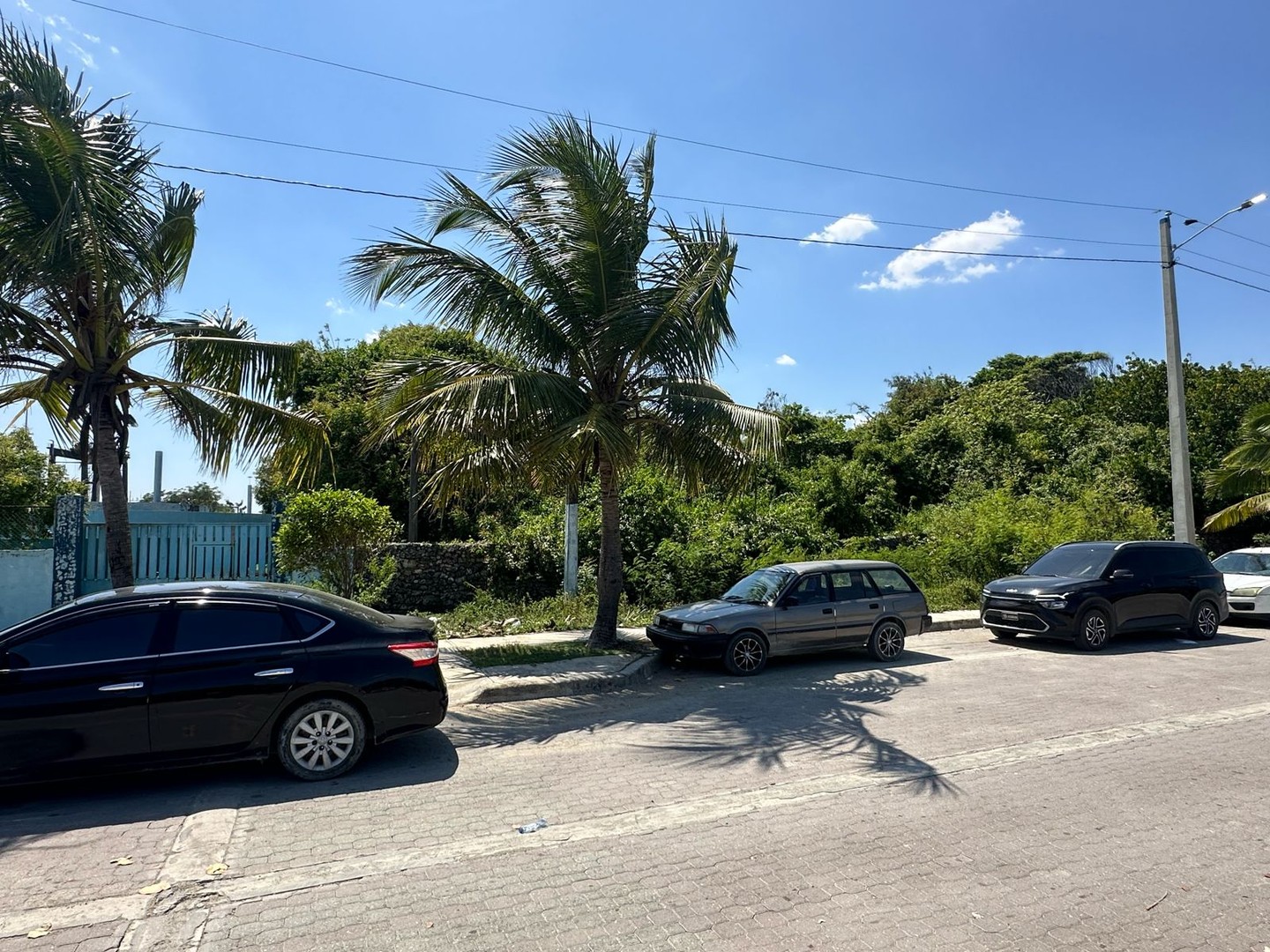 solares y terrenos - Solar en Boca Chica frente al mar de 6,288 m2  4