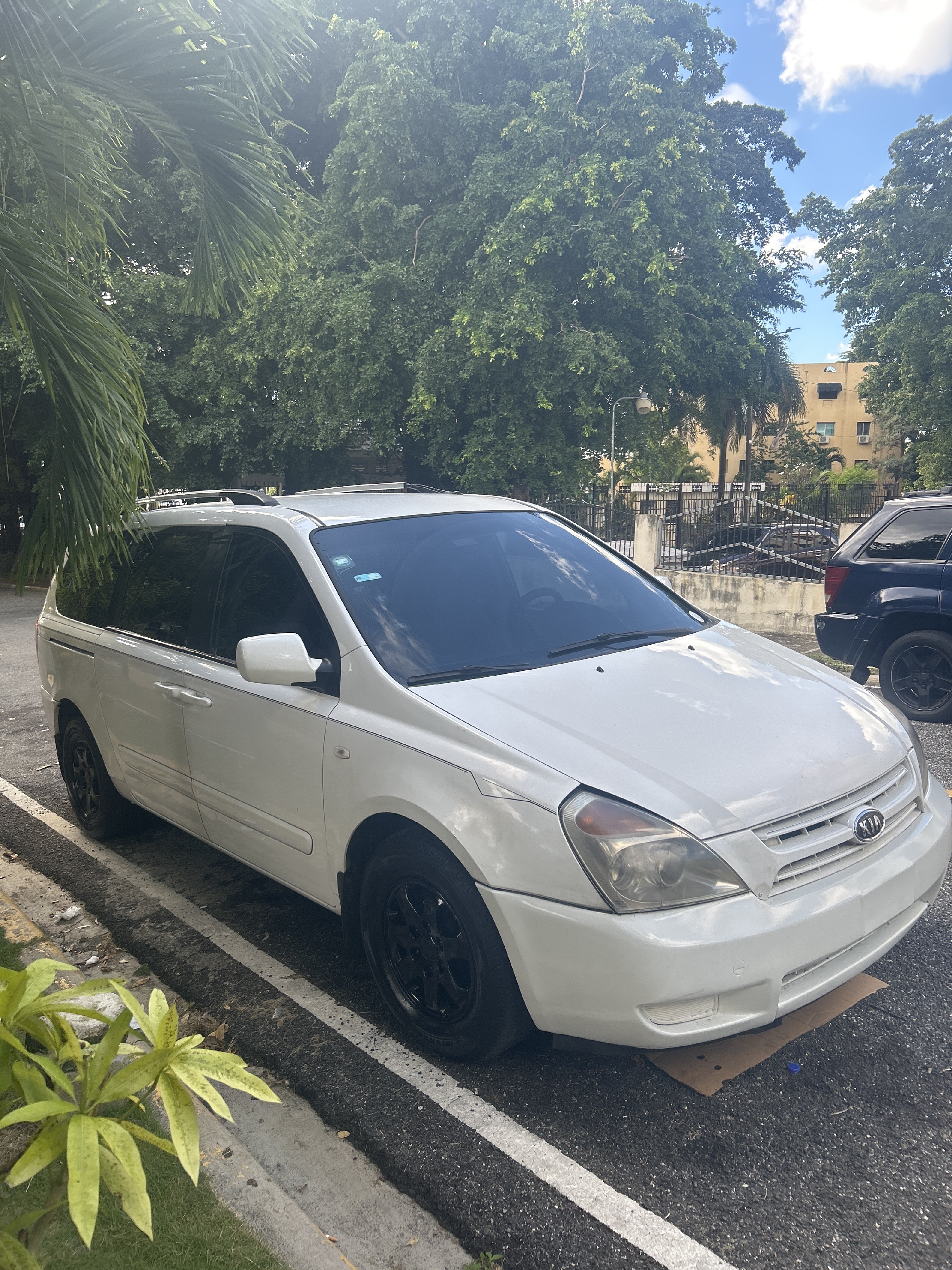 jeepetas y camionetas - Kia Carnival 2009 