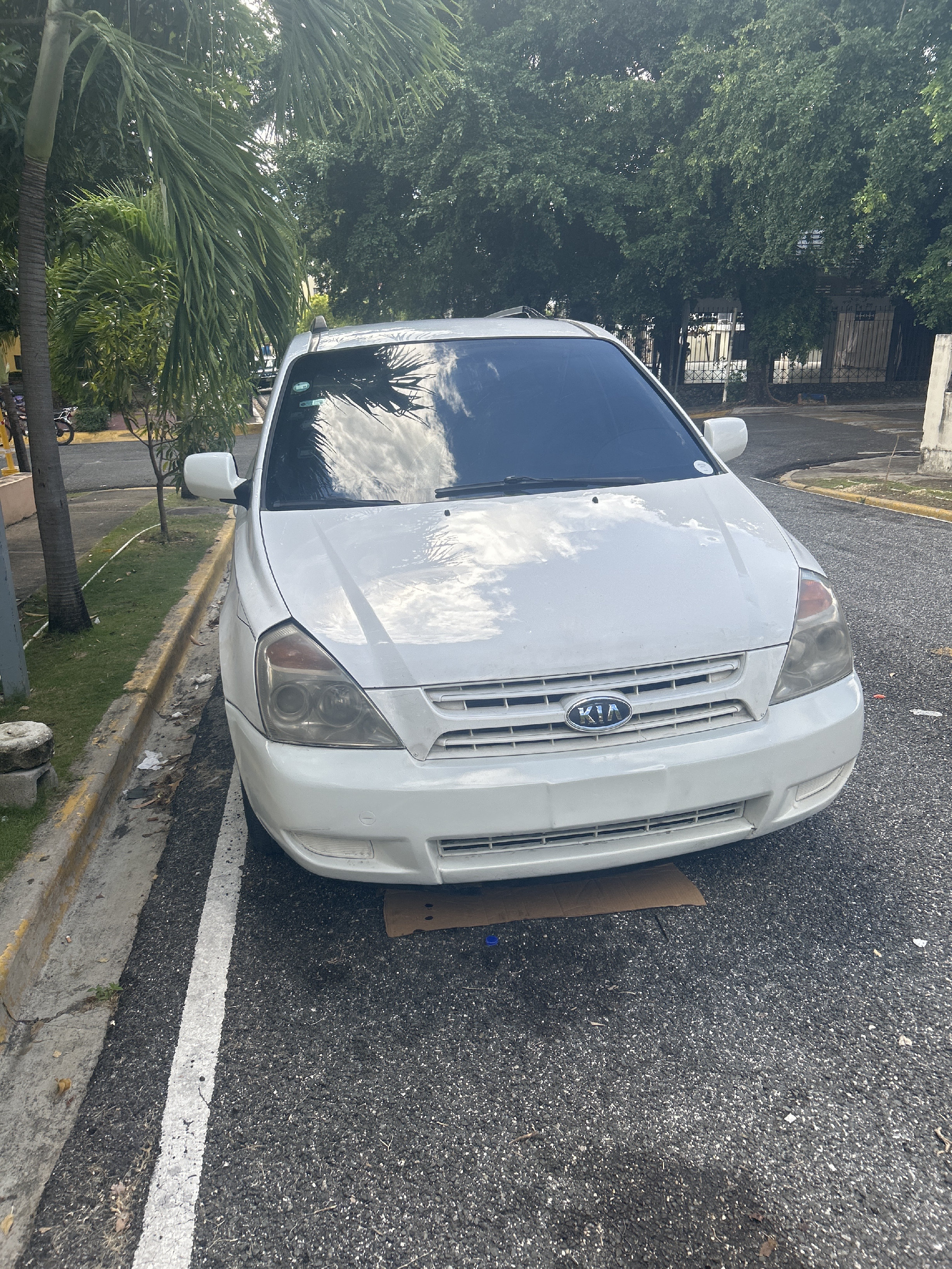 jeepetas y camionetas - Kia Carnival 2009  1