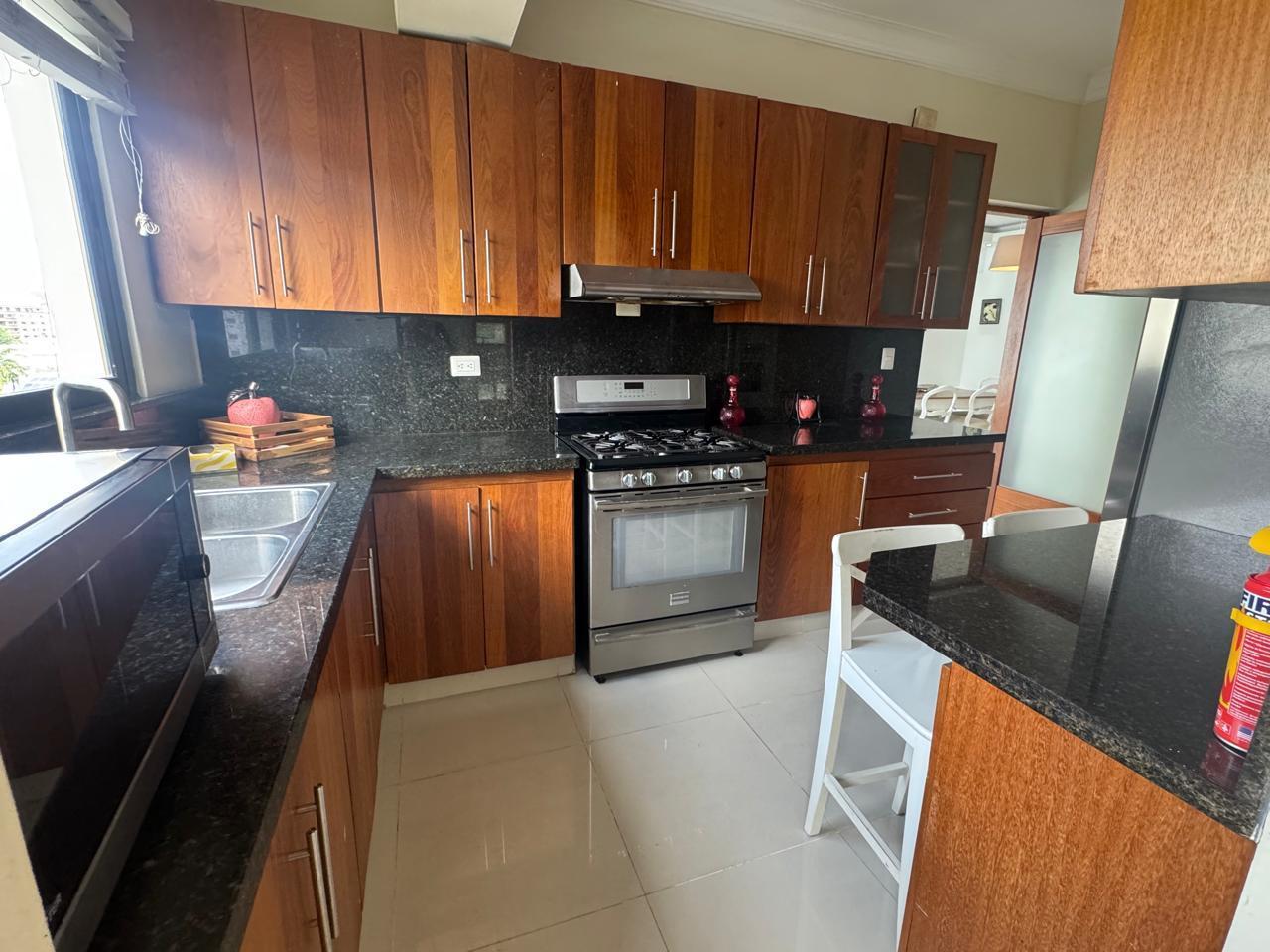 apartamentos - Apart. Amueblado en Alquiler, Piantini (P-02) 9