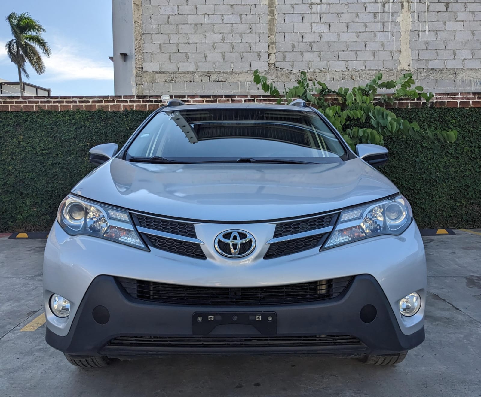 jeepetas y camionetas - Toyota rav4 2015 4