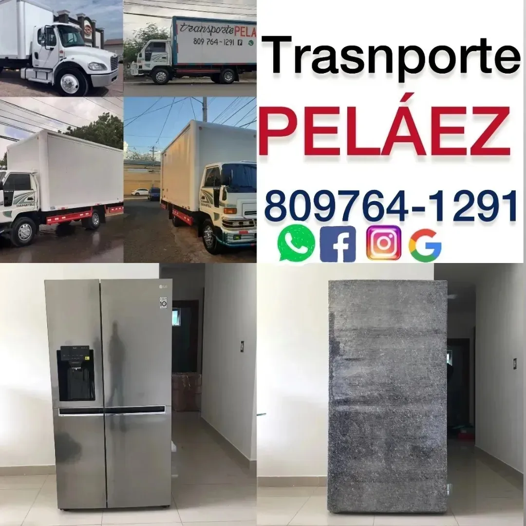 servicios profesionales - transporte pelaez