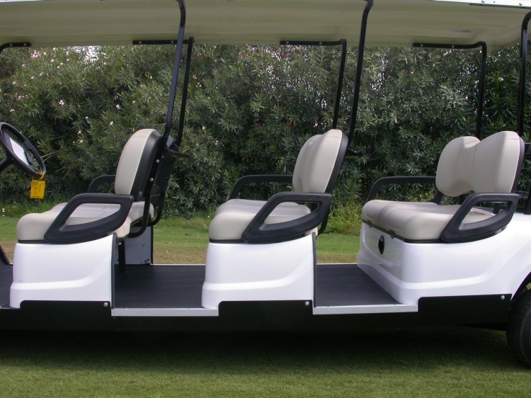 vehiculos recreativos - Carro de Golf, Carritos de Golf, Golf cart 3