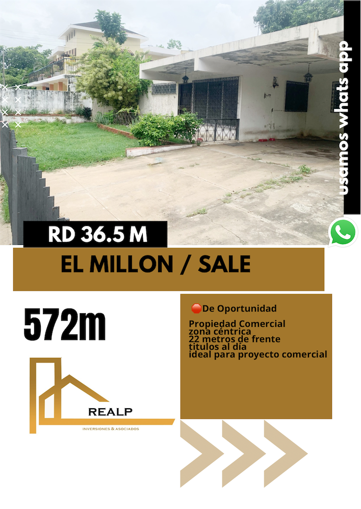 casas - Propiedad comercial en el Millon