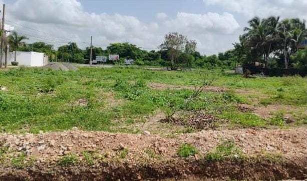 solares y terrenos - Terreno en JUAN DOLIO 