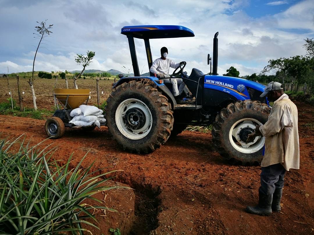 solares y terrenos - se vende Finca en monte plata con 387 tareas  con agricultura en producción  4