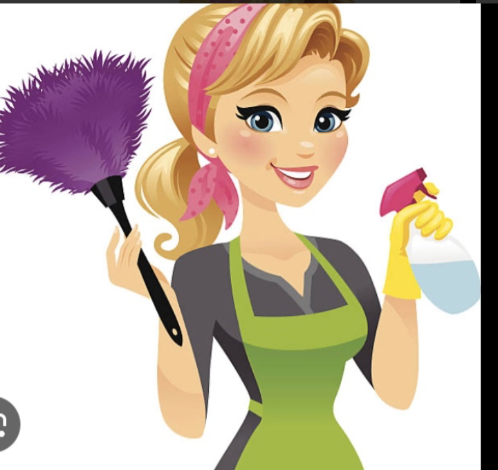 servicios profesionales - Hago limpieza por dia