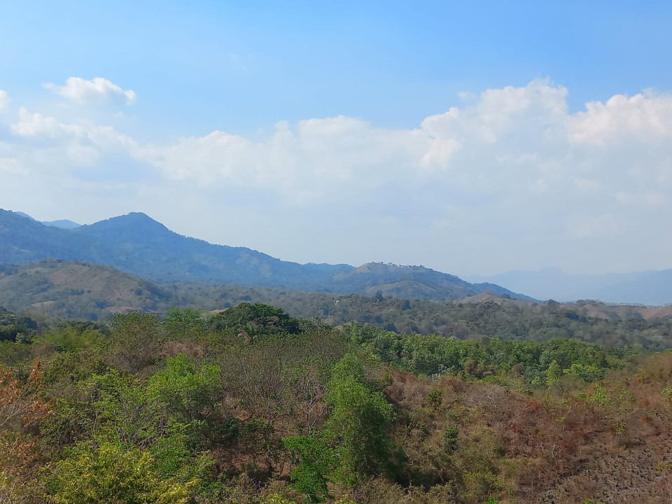 solares y terrenos - Terreno en Venta en Arroyo Mosquito 2