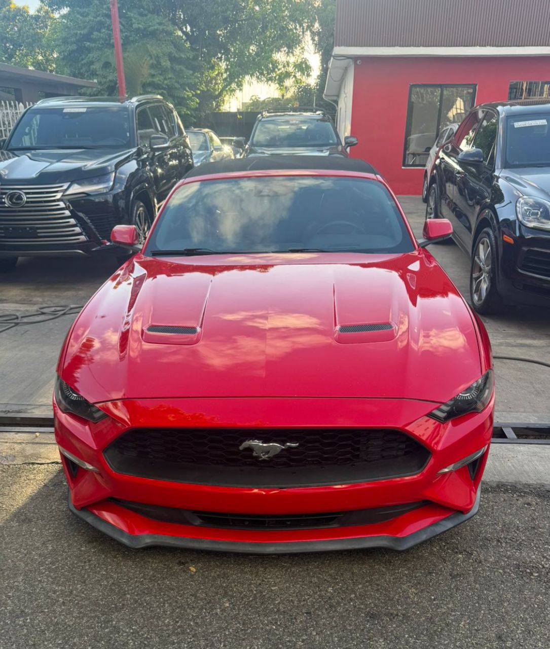 jeepetas y camionetas - FORD MUSTANG PREMIUN 2019 ROJO