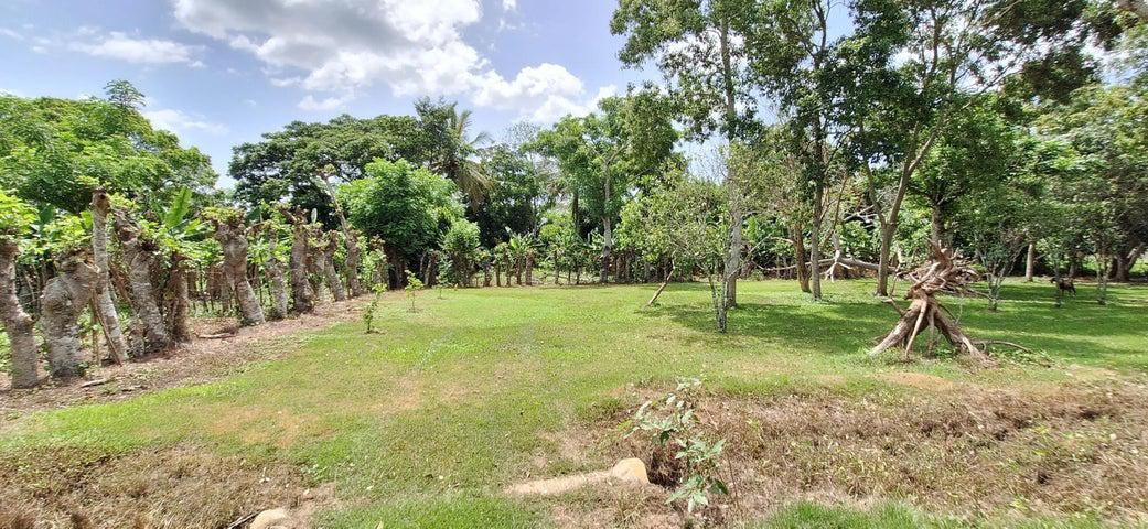 solares y terrenos - Finca en venta Lagos de Reyes Republica Dominicana 6