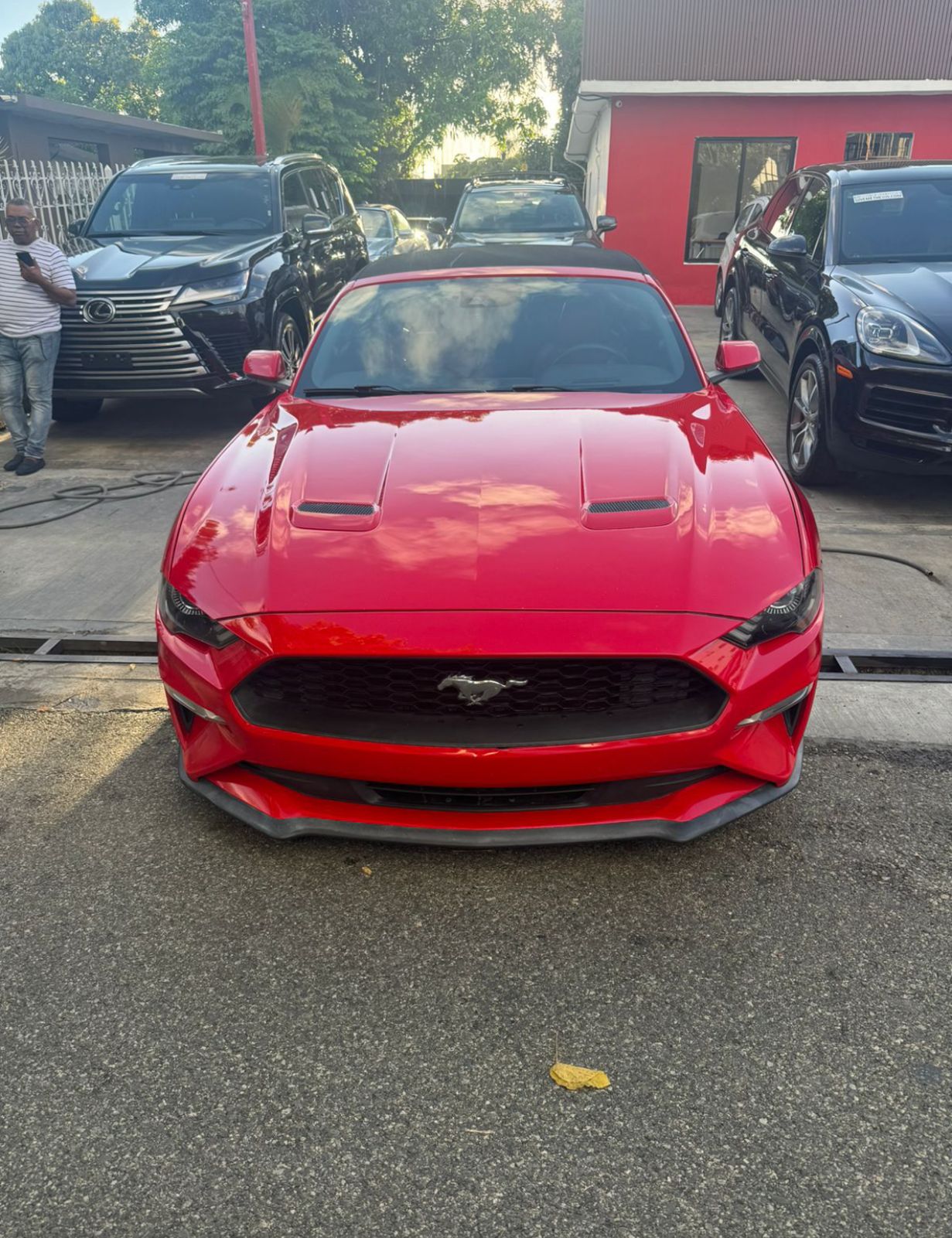 jeepetas y camionetas - FORD MUSTANG PREMIUN 2019 ROJO 1