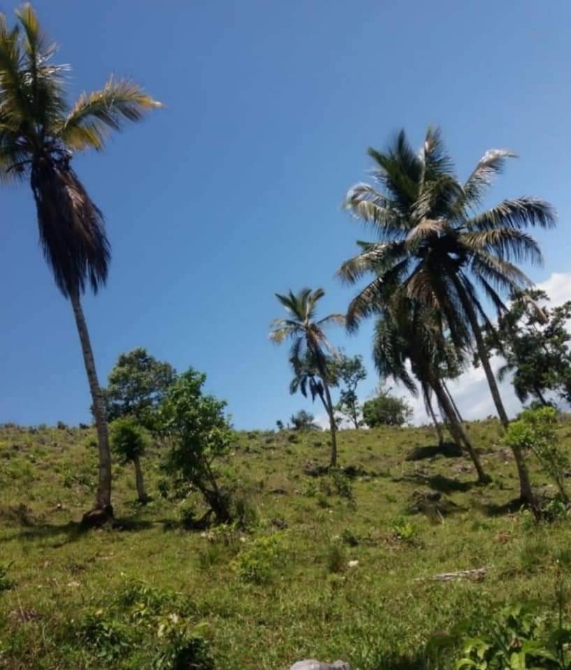 solares y terrenos - Se vende terreno en Samaná 0