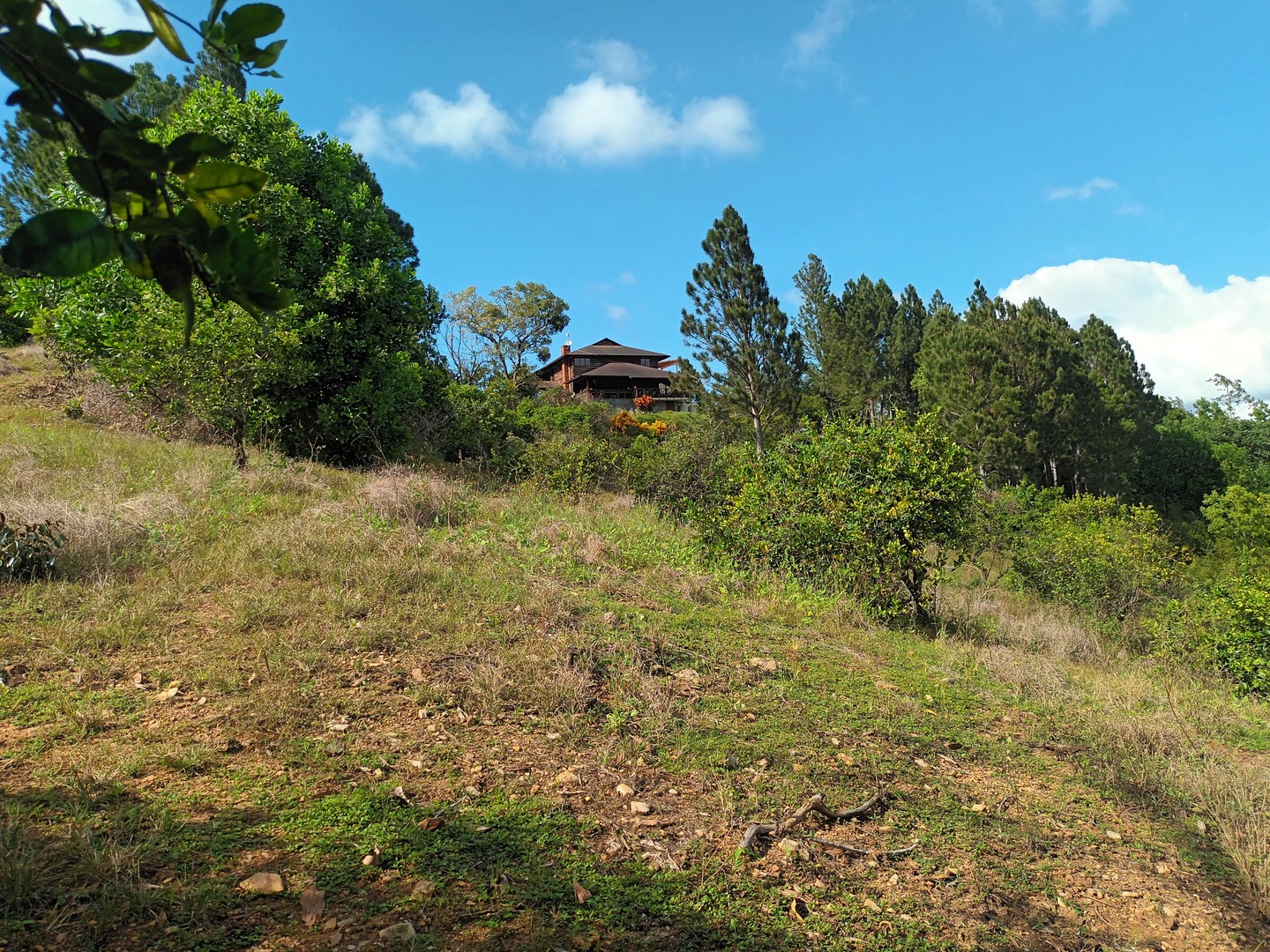 solares y terrenos - JARABACOA vendo terreno 10,363 mt2
 Vista Espectacular.  Excelente Clima 6