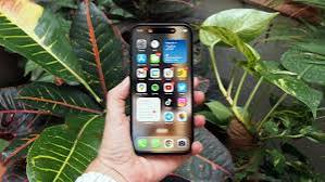 celulares y tabletas - iPhone 12 Pro 256 GB + AirPods Pro RD$32,000.00 2