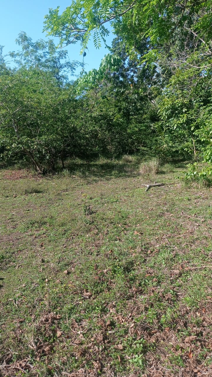 solares y terrenos - alquiler de finca  1